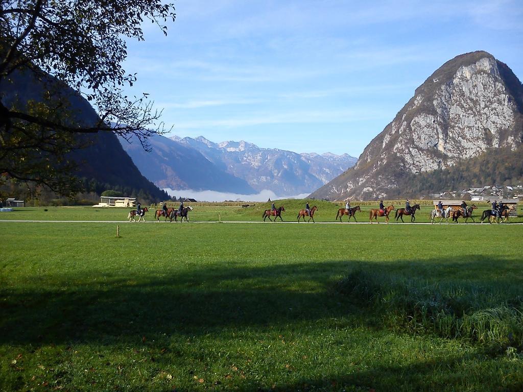 Hotel Jezero Bohinj Εξωτερικό φωτογραφία